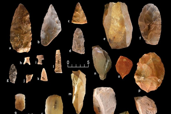 科学家在美洲发现距今2万年前的石器时代工具