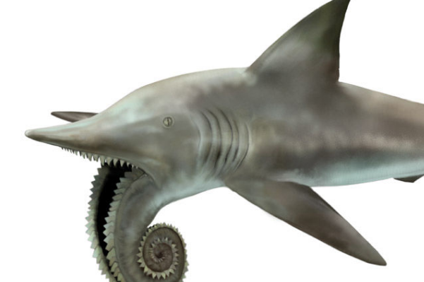 神奇的旋齿鲨长着一嘴的电锯牙
