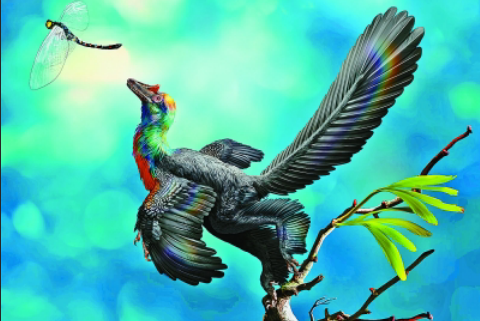 中国发现亿年前彩虹恐龙，色彩斑斓似彩虹样绚丽
